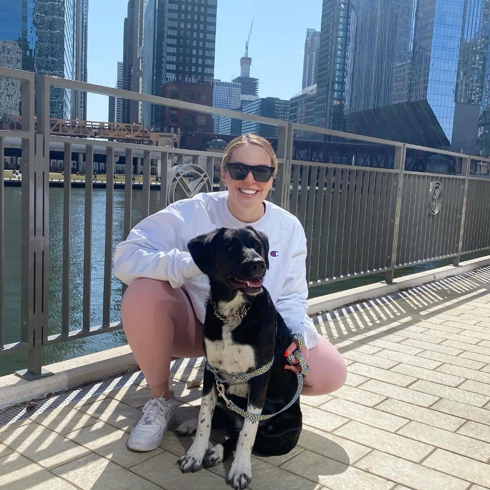 Meet your Posher, Devon